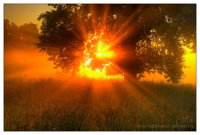sun