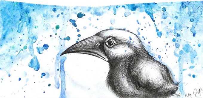 bird rain