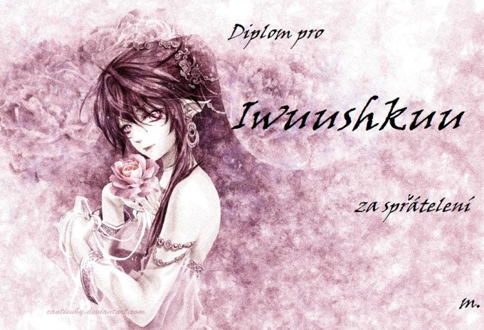 diplom pro iwi