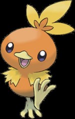 torchic