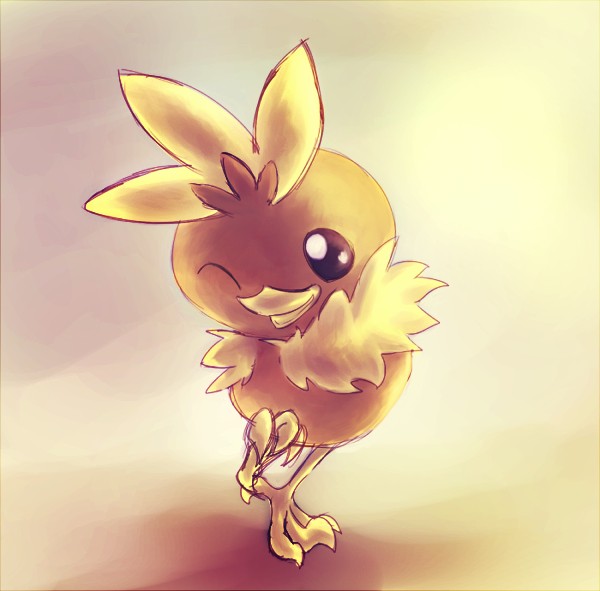 torchic654