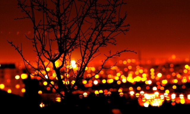 City_Lights_by_zifengw