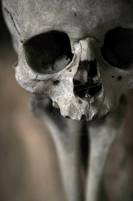Mortality_at_its_finest_by_Ace