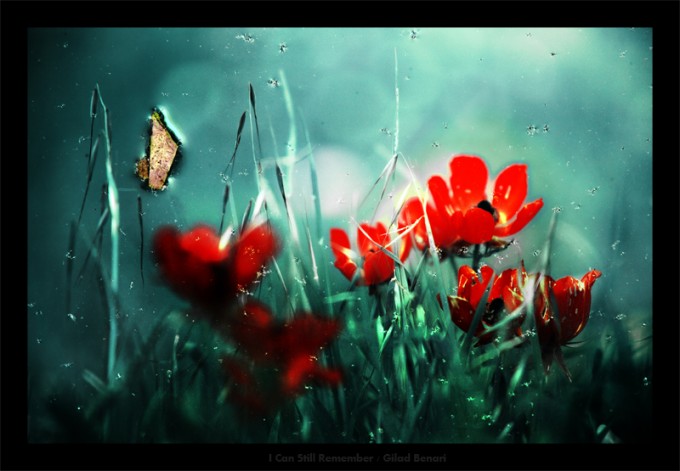 I_Can_Still_Remember_by_gilad