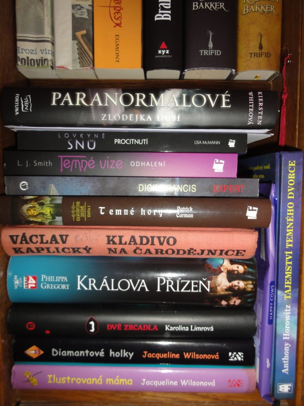 Tet polika