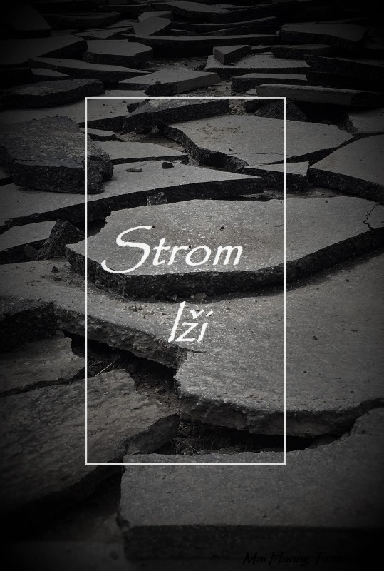 cover strom lzi
